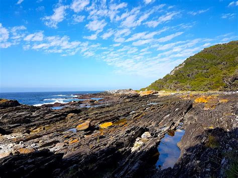 Die Schoonheid der Tsitsikamma Nationalpark: Ein Paradies für Wanderer und Naturliebhaber!