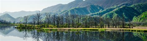  Der Shennongjia-Nationalpark – Ein Paradies für Naturliebhaber und Abenteurer!